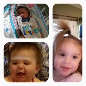 Meet your Posher, Bruce